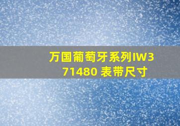 万国葡萄牙系列IW371480 表带尺寸